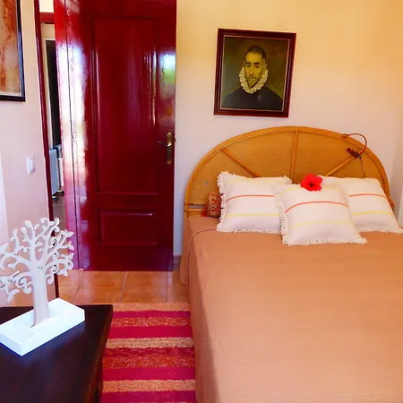 Rosalva Hotel Punta Brava